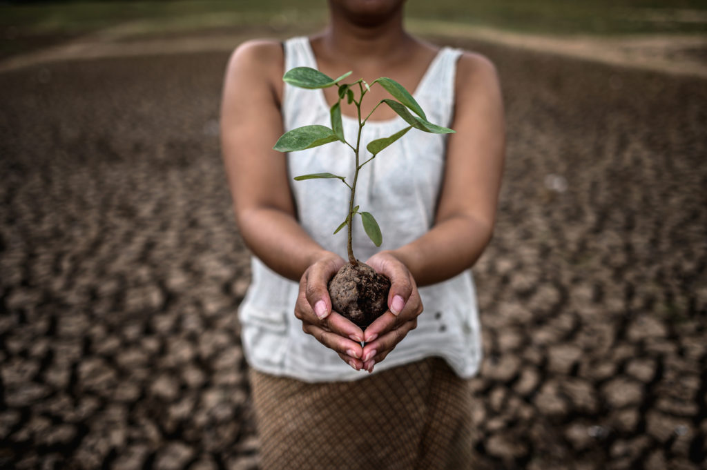 as mulheres estao em pé segurando mudas em terra firme em um mundo em aquecimento, racismo ambiental