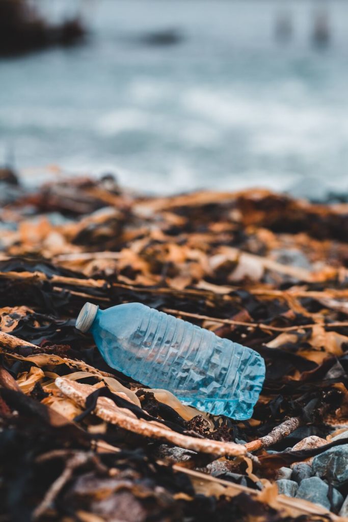 Garrafa de água azul no meio de uma paisagem natural com cascalho e o mar no fundo mostrando como o plástico afeta a sua saúde