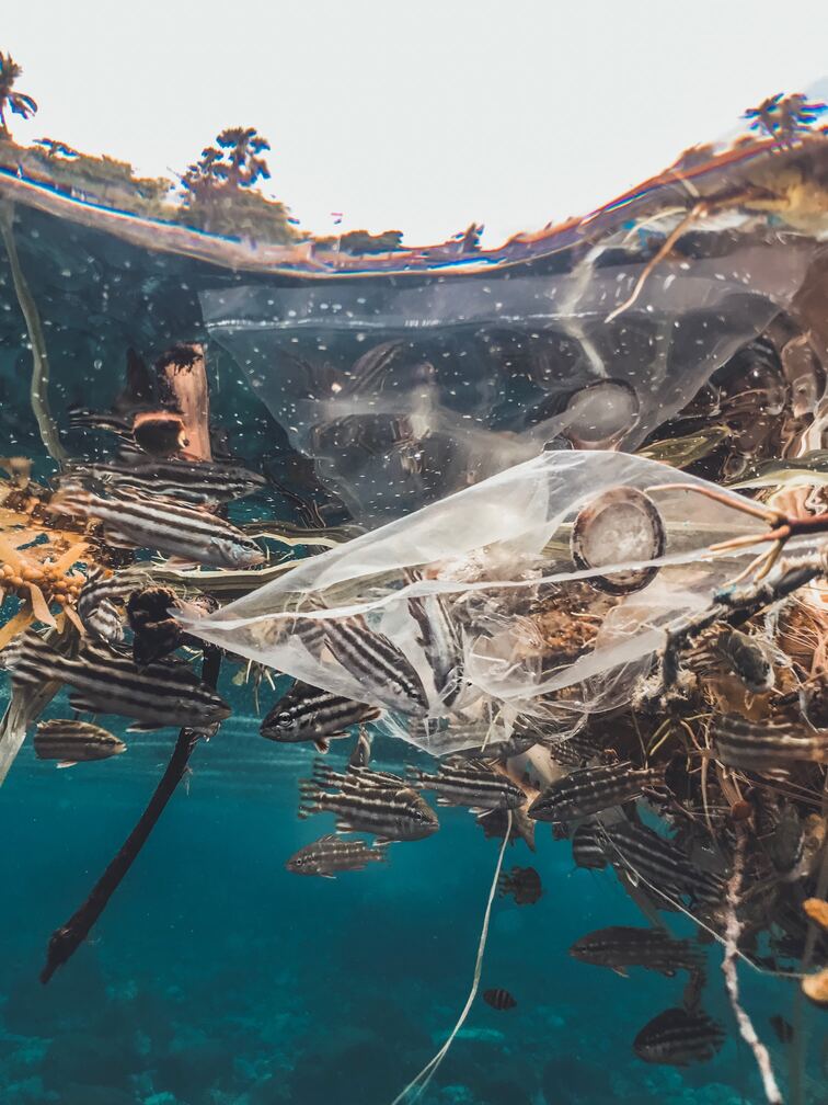 Várias garrafas de plástico e outros resíduos no mar. facilitando a contaminação por plástico