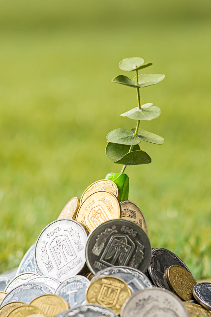 planta nascendo em moedas na grama verde, finanças sustentáveis