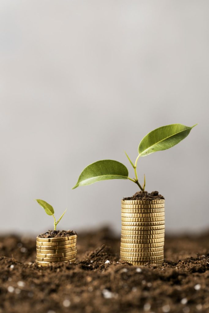 vista frontal de plantas com moedas empilhadas na sujeira e espaco de copia, finanças sustentáveis