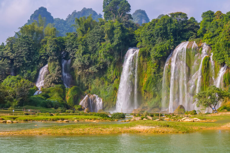 consumo de água, rock-nature-landscape-tree-lake-park